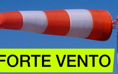 Previsto forte vento: fare attenzione nei parchi comunali