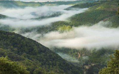 Ripartono le escursioni di Visit Monte Peglia: Trekking e Natura